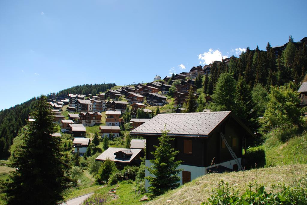 Chalet Foresta Бетмеральп Екстер'єр фото